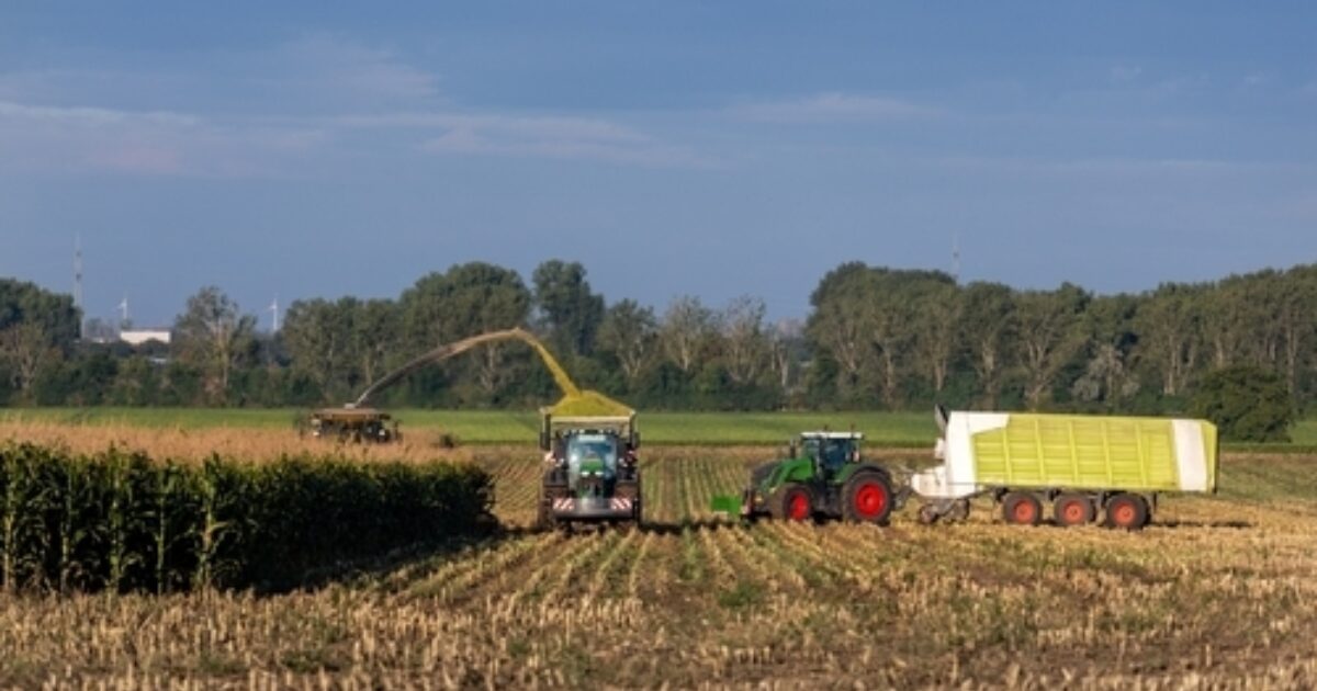 Inflation eases but food, transport exposed: comment