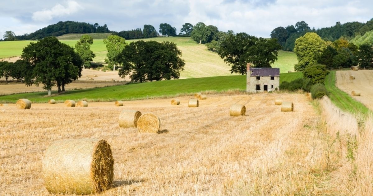 Energy & Climate Intelligence Unit | Election poll: what do rural…