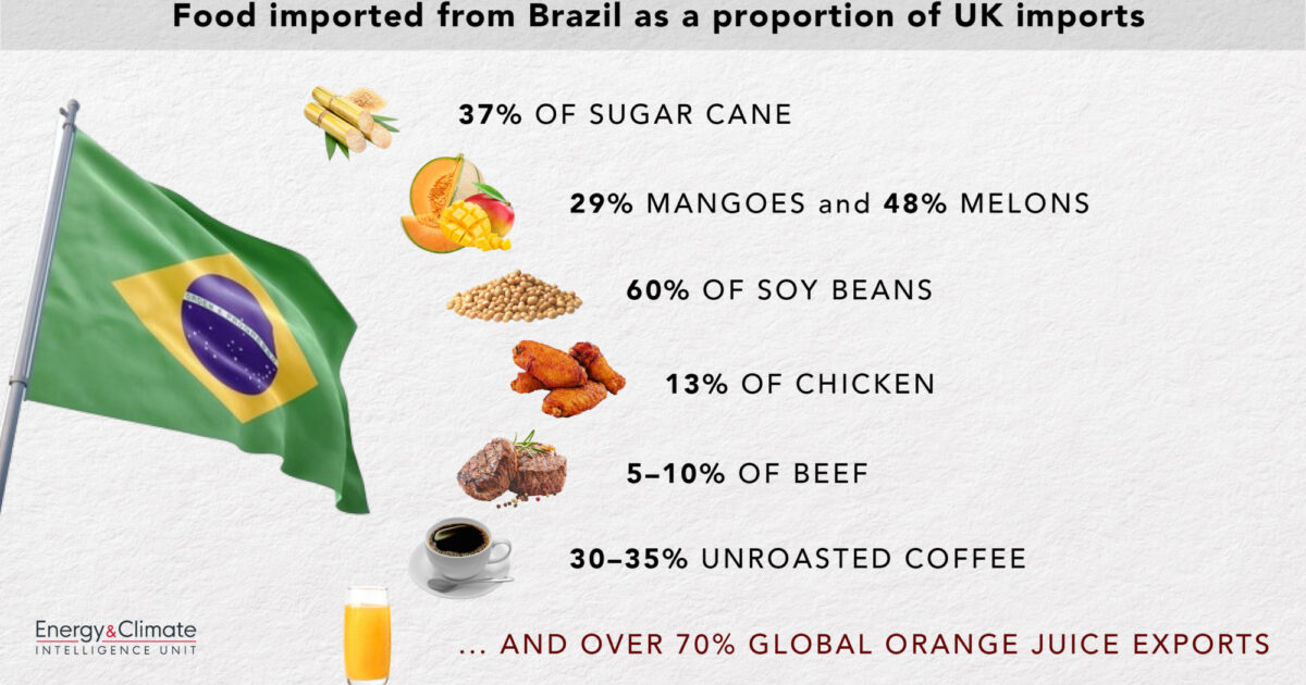Brazil and food imports – Energy & Climate Intelligence Unit | ECIU