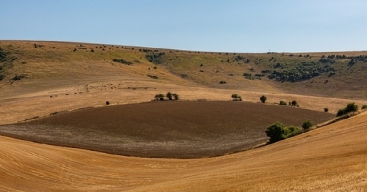 Energy & Climate Intelligence Unit | Summer drought costs UK arable…