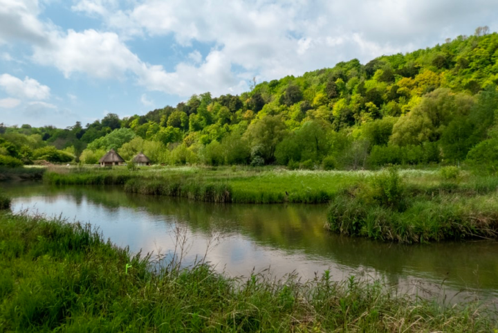 Wetlands in Arundel, Surrey, UK