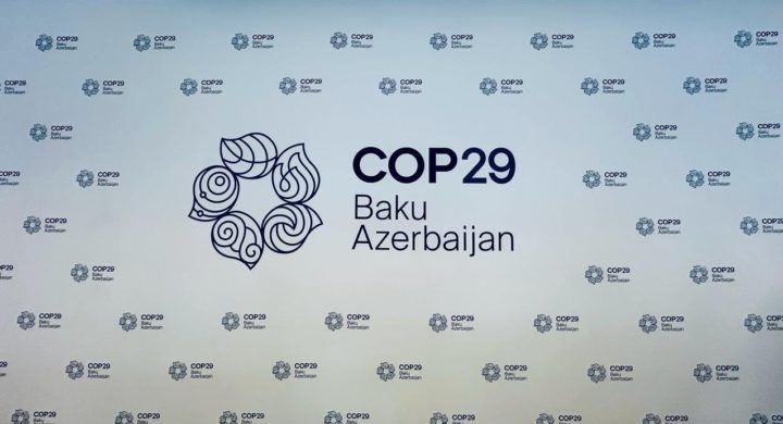 COP29 logo