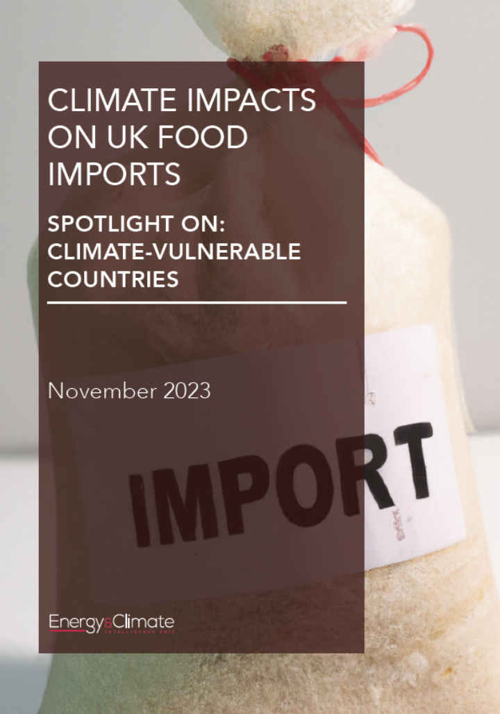 CV food report cover