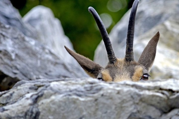 Net Zero: This changes (almost) everything