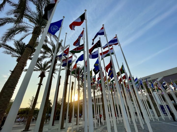 Flags at the entrance to COP28 | Gareth Redmond-King