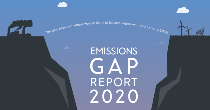 Gap report 2020
