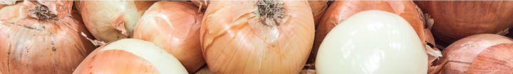 Onions - depositphotos