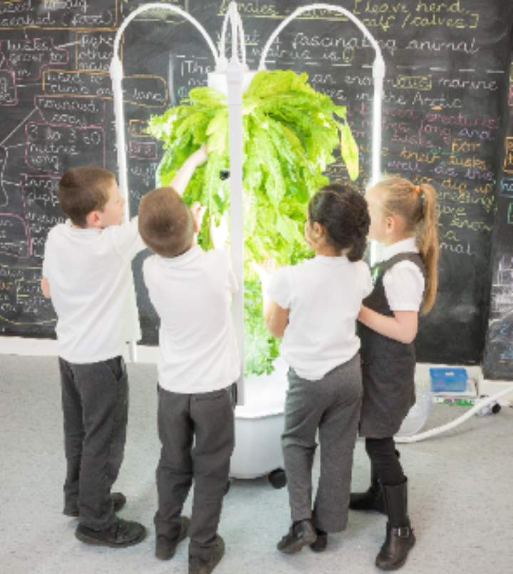Children build a growing tower