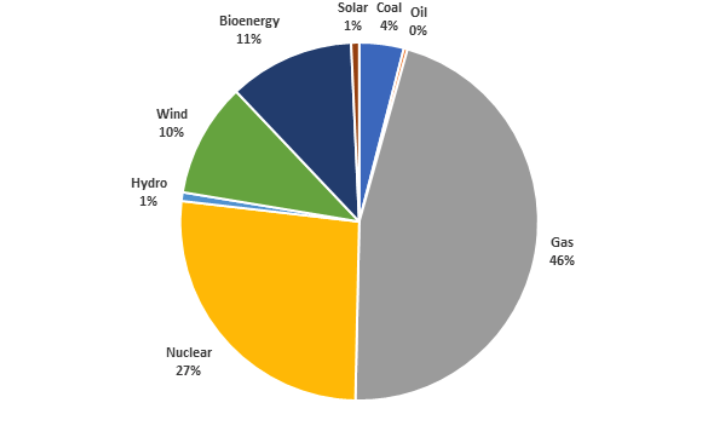 Fuels used in GB electricity generation 2019. Source: BEIS