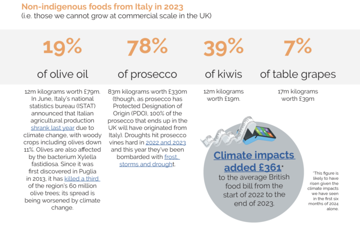 Non-indigenous foods from Italy in 2023