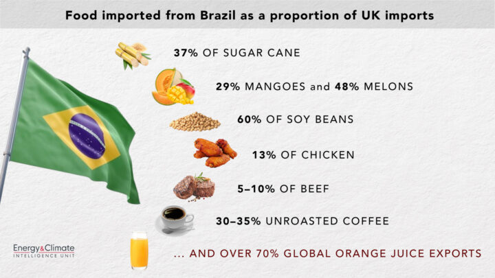 Image of foods affected