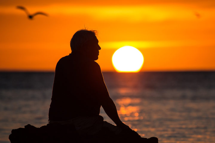 David Attenborough's 'Great Barrier Reef'