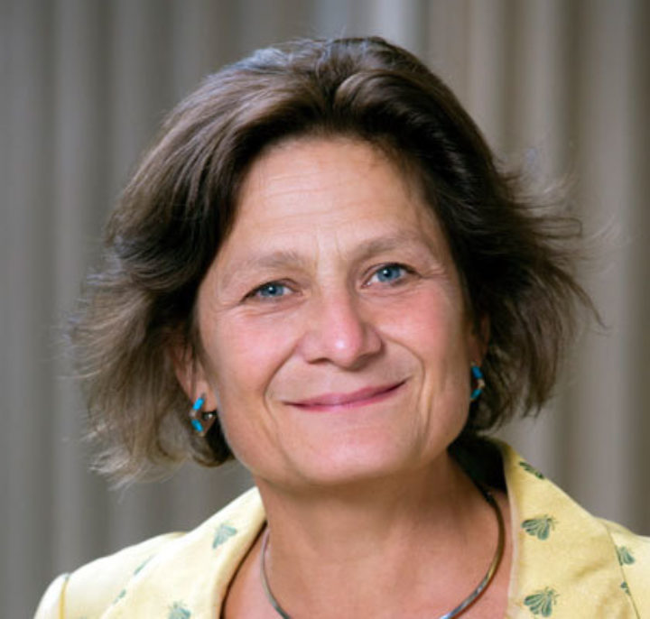 Harriet Lamb, Ashden CEO