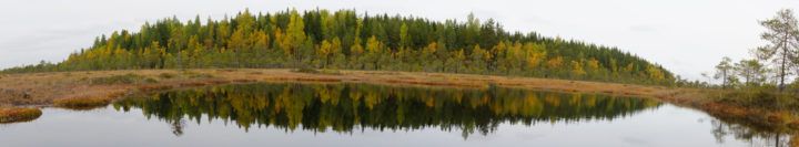 Emissions from peatlands have turned up to be higher than previously thought, changing the calculations. Image: Tero Laakso, CCL