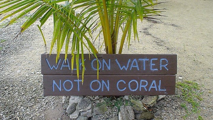 "vanuatu sign" by adamskee