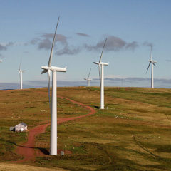 Wind constraint payments - on the way down?