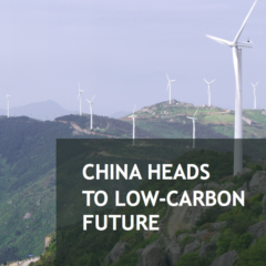 China’s Low-carbon Policy and Development