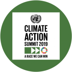Comment on UN Climate Action Summit