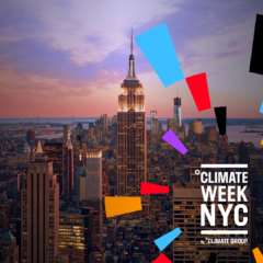 Best practice for natural climate solutions in the race to zero