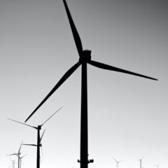Evidence, business and politics: the case for ‘Building back green’