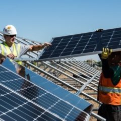 'Green' recovery: A week of fine principles