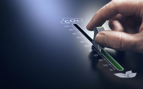 The role of carbon dioxide removal in the UK’s net zero strategy