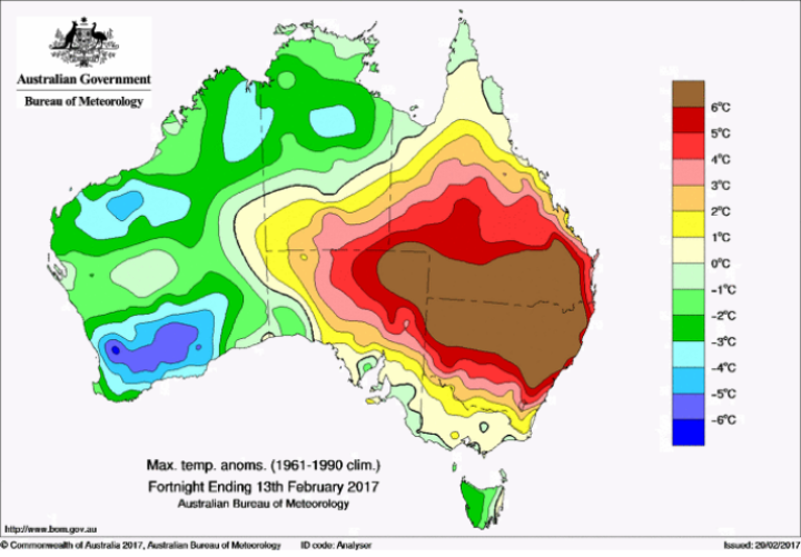 Maximum temperature anomalies (difference from long-term average) for Australia from 31 January to 13 February 2017. Image: Australian Bureau of Meteorology