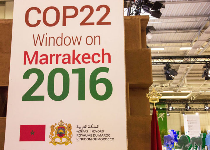 The Morocco meeting will see some focus on agriculture, a priority for the host continent. Image: Climate Alliance