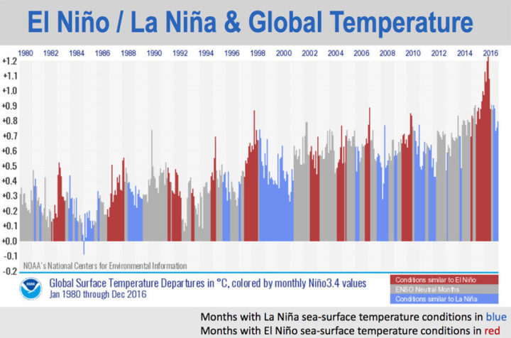 Climate records show a warming trend for both El Nino (red) and La Nina (blue) conditions, giving the lie to any claims that recent warming is just down to El Nino. Image: NASA/NOAA