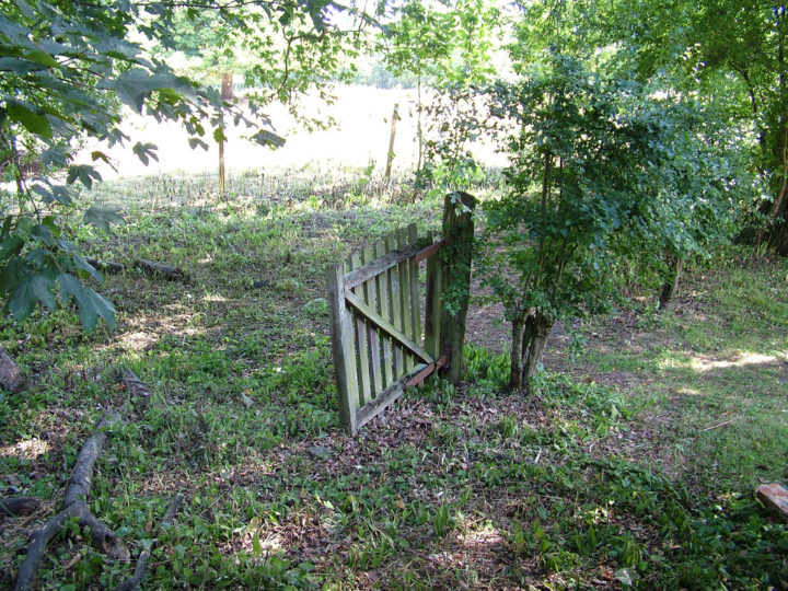 The 'gate' opened - but what came through? Image: megatick, Creative Commons licence