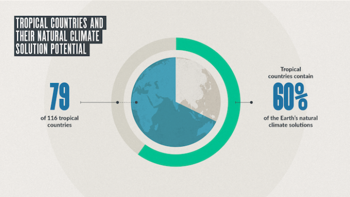 Tropical countries and their natural climate solution potential