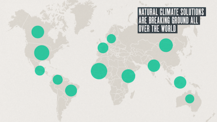 Natural climate solutions are breaking ground all over the world