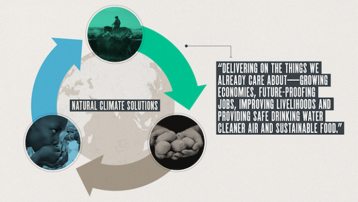 Natural climate solutions deliver on the things we already care about