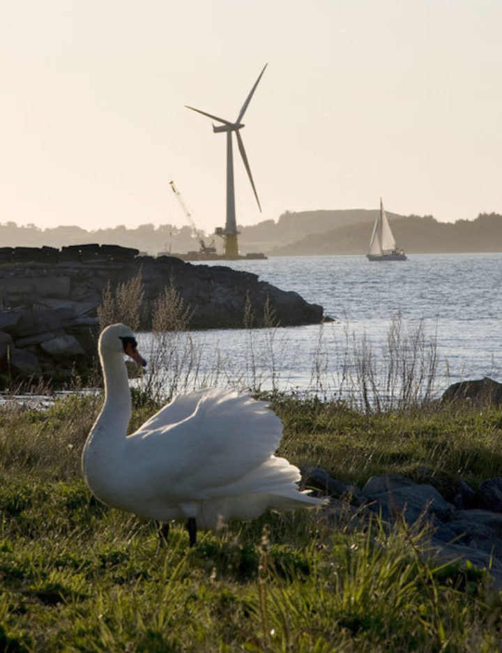 Hywind, prototype of a floating wind turbine. Image: LC Nøttaasen, Creative Commons licence