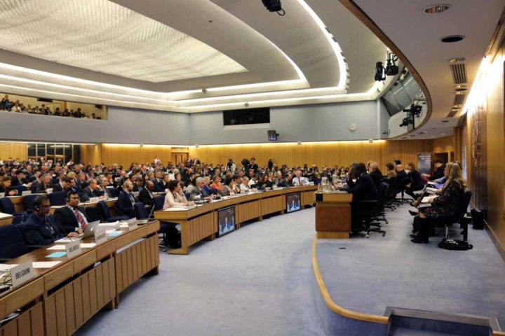 International Maritime Organization