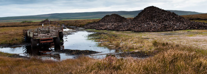 Preserving peat emerges as a no-brainer from the IPCC report. Image: Korz19