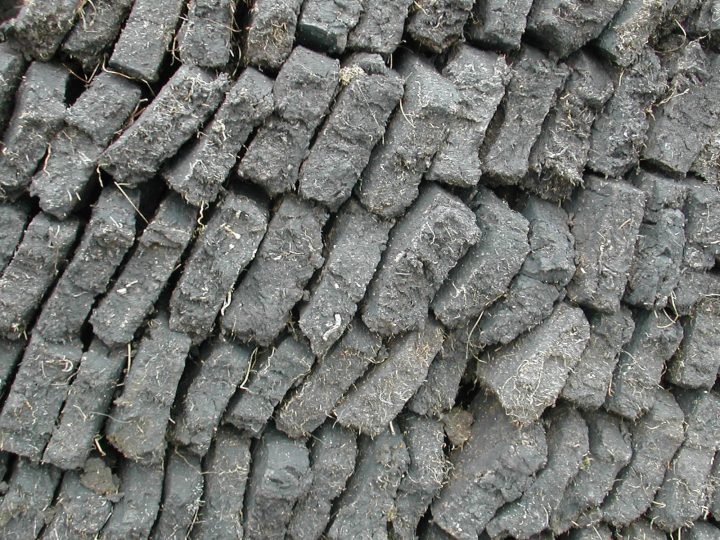 Globally, peatlands store more carbon than all the world’s forests. Image: far closer, creative commons licence