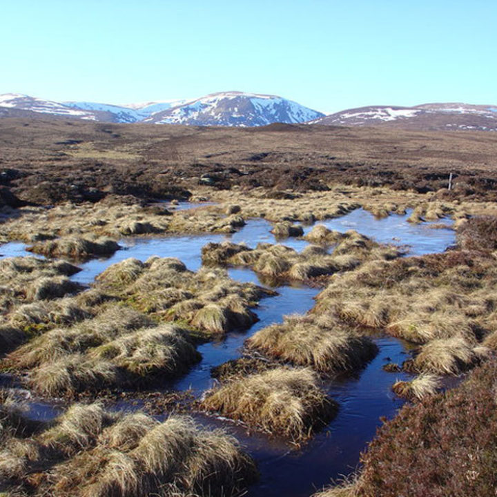 Peat degradation