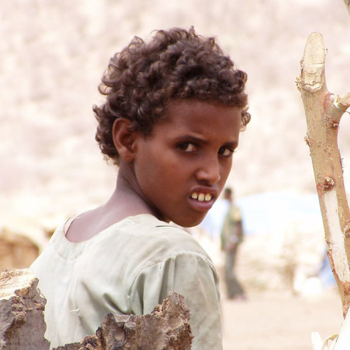 Carbon needs capturing by land... but a growing world population needs feeding. Image: Samout3