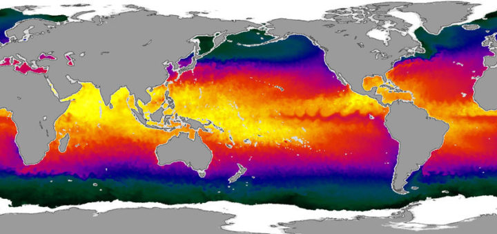 Other signs of a warming world: sea surface temperatures. Image: NASA