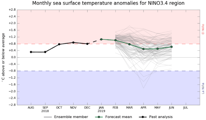 Computer models suggest the Pacific Ocean will either enter El Niño conditions or at least stay close for the rest of the year