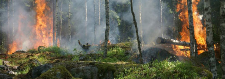Sweden has seen fires north of the Arctic Circle