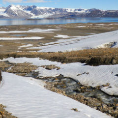 Comment on IPCC Oceans and Cryosphere report