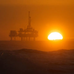 Comment on Shell results