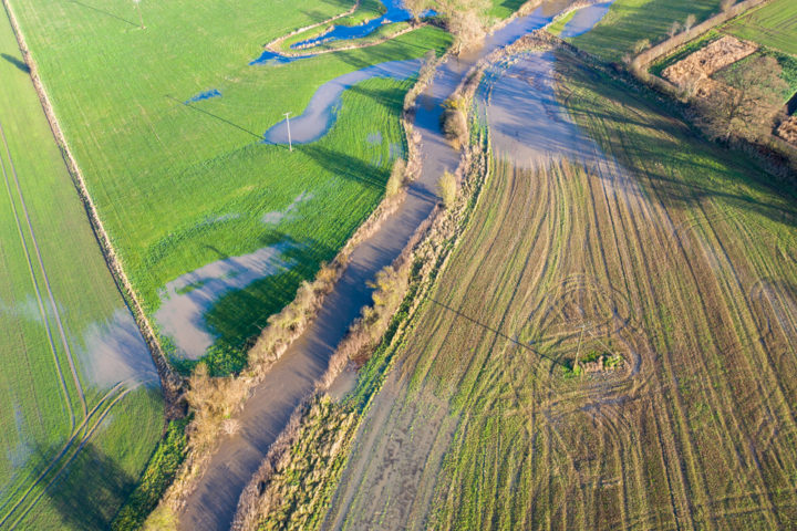 Flooded crops
