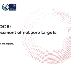 Taking stock: A global assessment of net zero targets